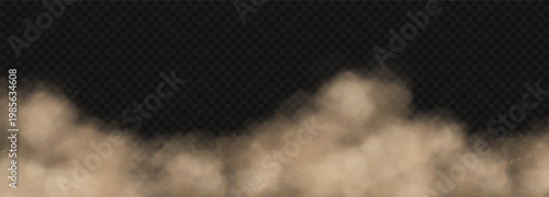 Realistic dust cloud isolated on transparent background. Sandstorm powder effect. Vector illustration