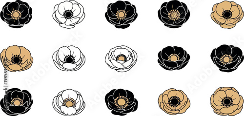Black and gold flower in rows flowers white floral