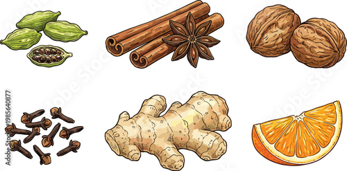 Spices and flavoring botanical illustration, cardamom cinnamon star anise nutmeg cloves ginger orange composition, colorful natural artwork, detailed culinary botanical drawing