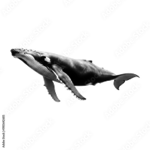 Halftone illustration of a whale in side view, created with a dotted black-and-white pattern. The marine animal appears to be swimming, with visible fins and tail, rendered in a retro, vintage style o