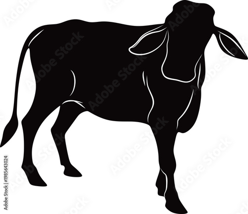 Silhouette of a Cow