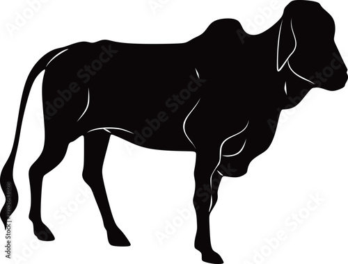 Silhouette of a Cow