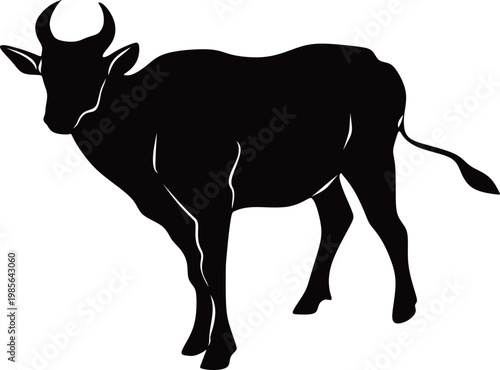 Silhouette of a Cow