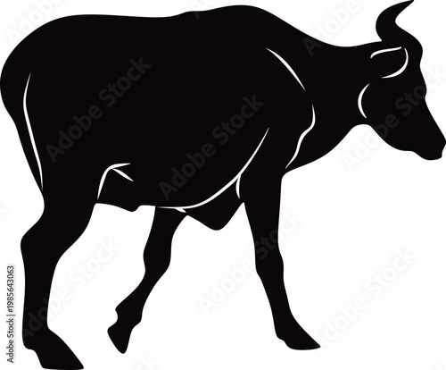 Silhouette of a Cow