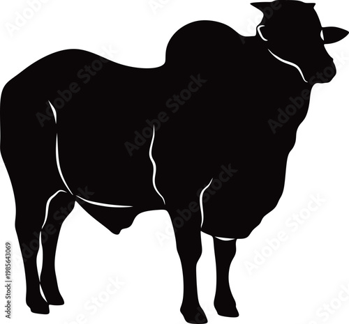 Silhouette of a Cow