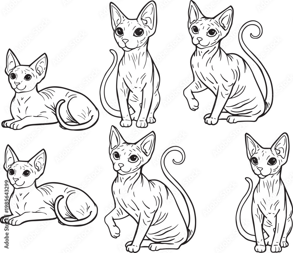 Fototapeta premium Minimalist line art drawing Sphynx cat hairless body breed pet contour illustration clipart veterinary clinics pet shops logo playful character outline coloring book realistic cartoon drawing contour
