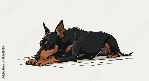 A black and tan dog rests its head on its paws, eyes closed, on a light background