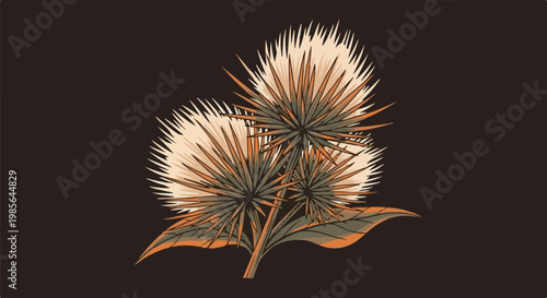 Three spiky seed pods with green leaves, against a dark background