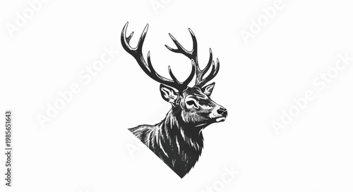 A detailed black and white sketch of a regal deer's head and antlers