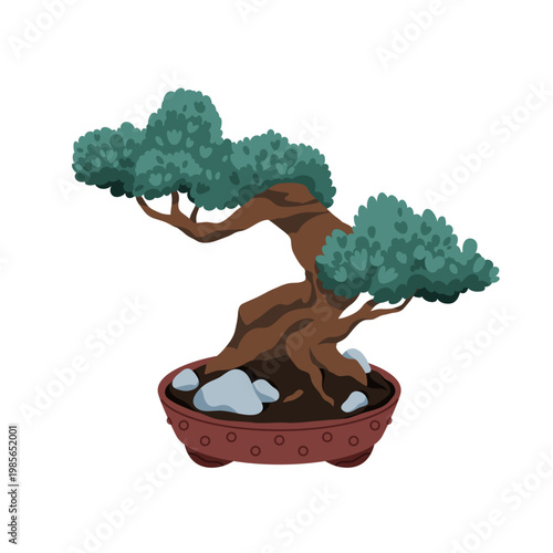 Bonsai tree, Japanese zen art. Japan plant, juniper growing in pot. Eastern A...