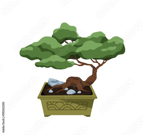 Bonsai, Japanese botanical art. Growing tree plant in pot. Japan zen garden i...