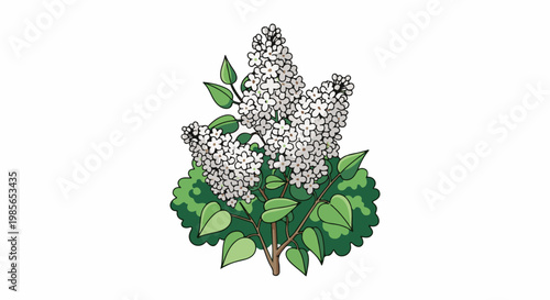 A simple illustration of a cluster of white flowers on a green bush