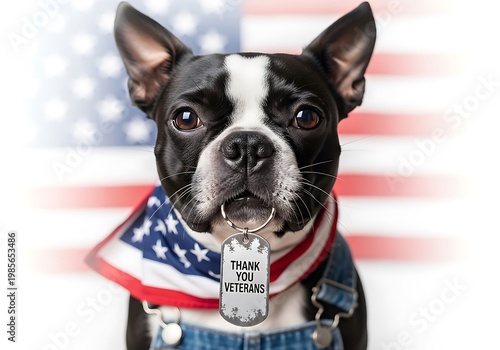 Boston Terrier Dog with Thank You Veterans Tag and American Flag Background, Patriotic Pet Portrait