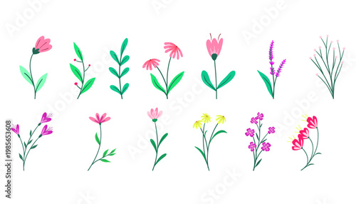 Hand Drawn Colorful Floral Clipart Set Minimalist Flower Element