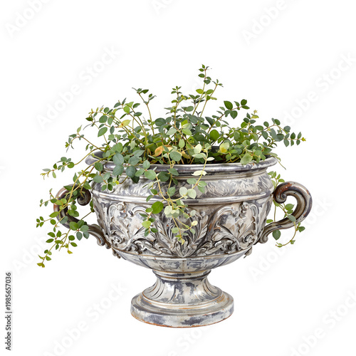 Ornamental silver planter with green foliage against a transparent background