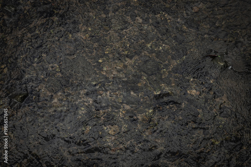 Top-view of a shallow, dark-toned stream with flowing water over moss-covered and algae-stained rocks, showing subtle iridescent surface reflections.