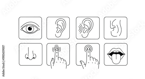 Two boys playing with a colorful beach ball on a sunny playground with slides, swings, and green trees in the background.