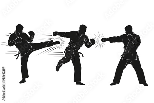 silhouettes of karate or taekwondo vector icon set