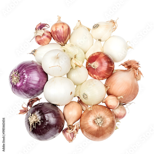 Assortment of fresh onions on transparent background