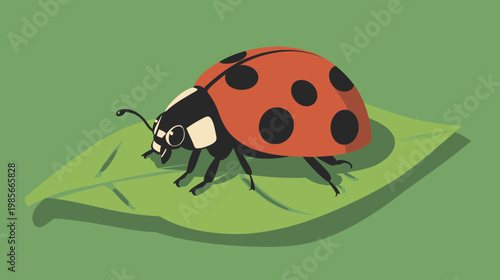 Colorful illustrated ladybug on a leaf, set against a green background, simple and stylized