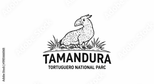 Stylized sketch of a prehistoric bird with text below