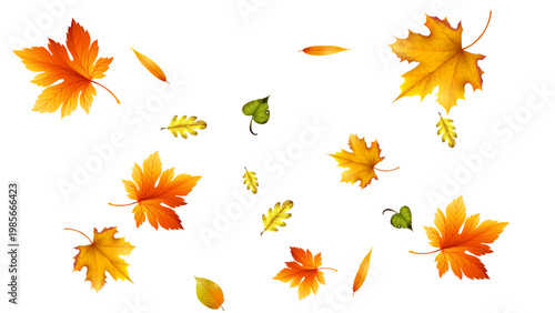 flying leaves autumn realistic white background