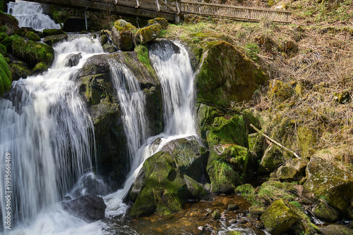 Scenic waterfall flowing through a lush green forest
