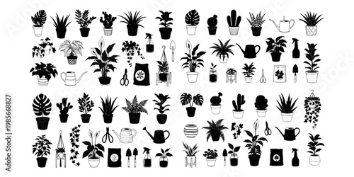 Various potted plants and gardening tools in black-and-white line style on white background, concept of home gardening