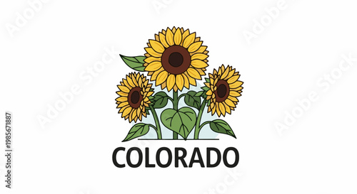 Stylized illustration of three sunflowers with the word COLORADO below