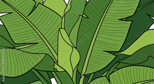 A close-up illustration of layered, vibrant green tropical leaves with distinct veins