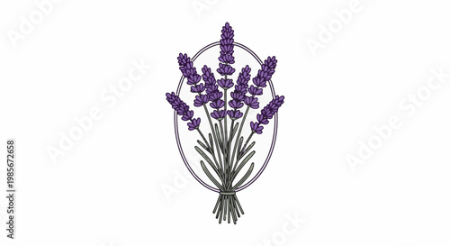 A decorative bouquet of purple lavender flowers tied together