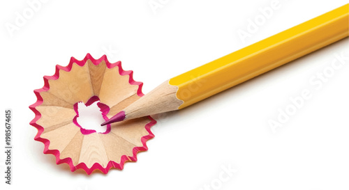 Yellow pencil and pencil shavings with red edges on a white background art supply back to school sharpening education creativity stationery