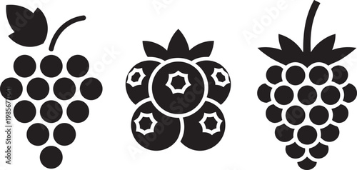 Bunch of grapes icon set with berry cluster, black and white, and clip art in outline style