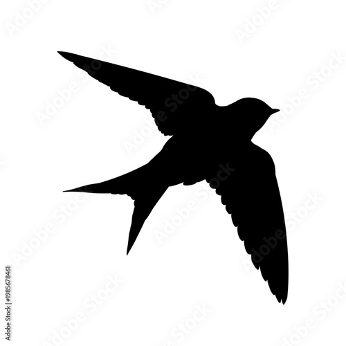 Flying swallow silhouette, vector illustration	