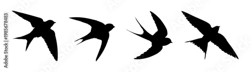 Flying swallow silhouettes set, vector illustration 