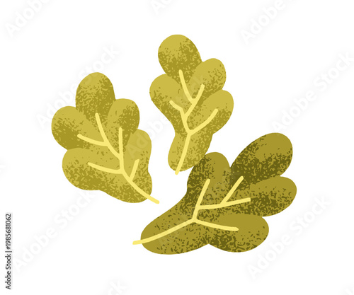 Greens, leafy vegetable. Fresh leaf food. Green leaves, lettuce, natural organic ingredient for salad. Vegetarian diet, healthy snack. Flat vector illustration isolated on white background