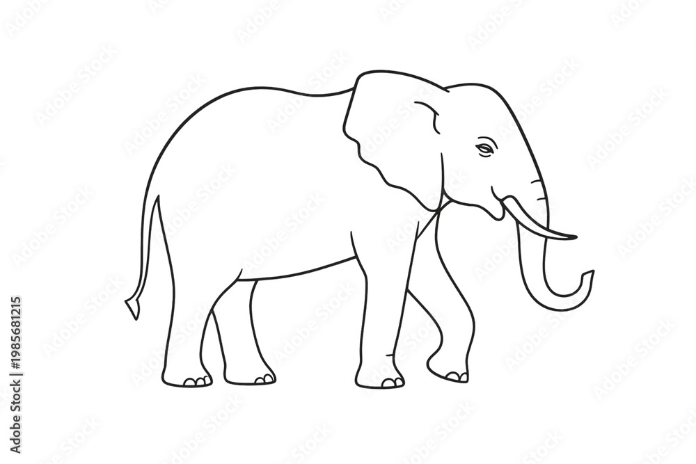Fototapeta premium elephant vector illustration