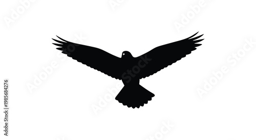 A striking black silhouette of a bird with outstretched wings in mid flight conveying freedom and power silhouette
