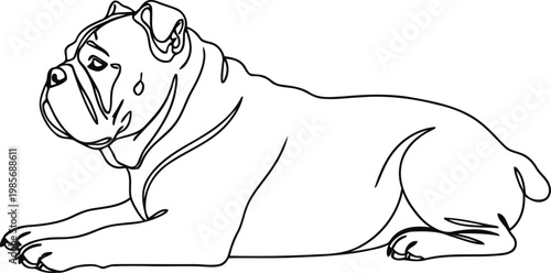 Line drawing of a relaxed english bulldog lying down