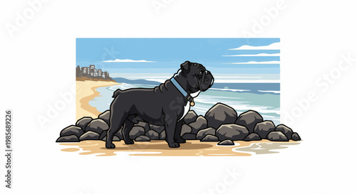 A black bulldog stands on a rocky beach with buildings in the distance