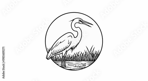 Black and white illustration of a bird and reptile in a marshy environment