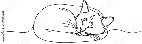 Simple line drawing of a sleeping cat curled up comfortably