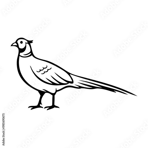 Logotipo con dibujo minimalista con líneas de un faisán de pie visto de perfil