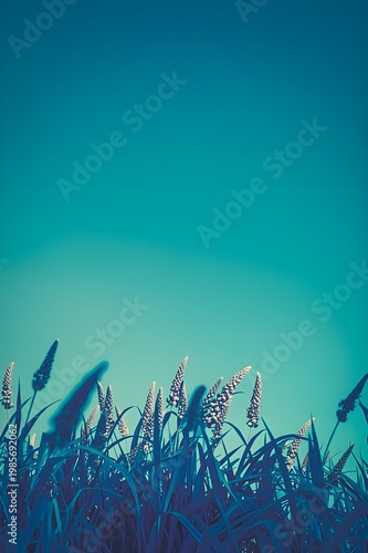 Card or decorative wall art with gentle grass silhouettes reaching into a wide turquoise sky. The scene feels light and open, like a quiet breath of air.