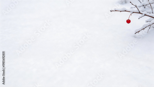 Minimalist winter landscape with a single red berry on a snow-covered branch and pure white copy space