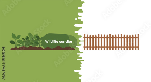 A graphic showing a green wildlife corridor next to a brown wooden picket fence