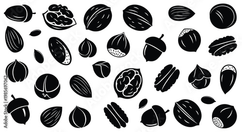 Variety of nuts and seeds a black and white botanical illustration
