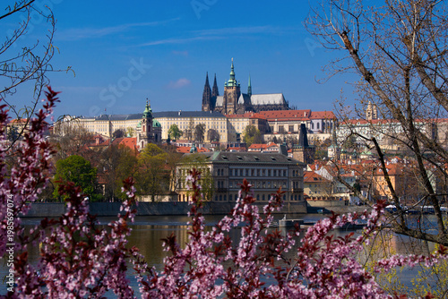 Prague Castle and Vltava River with spring blossoms, Czech Republic