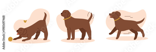 Brown dog plays with ball, then stands alert. Dogs appear happy, energetic, playful. Ideal for pet care, dog training, or family fun visuals. Cartoon style appeals to young audiences or pet lovers