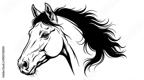 Detailed black and white illustration of a majestic horse head with a flowing mane, depicted in a stylized and artistic manner.